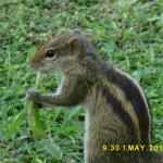 Restaurant Karpatenhutte